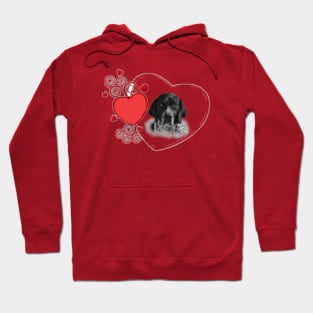 english pointer Hoodie